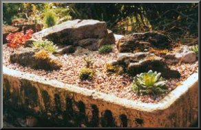 a sink trough garden