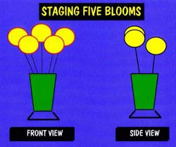 5 blooms