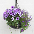 Hanging baskets