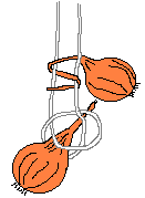 stringing onions 4