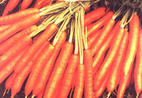 Carrots