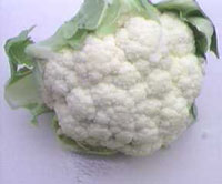 Cauliflowers