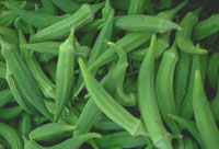 Okra