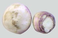 Turnips