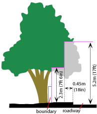Tree cutting for footpath and roadway