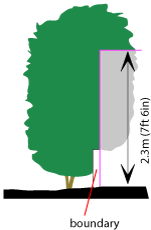 Shrub cutting for footpath